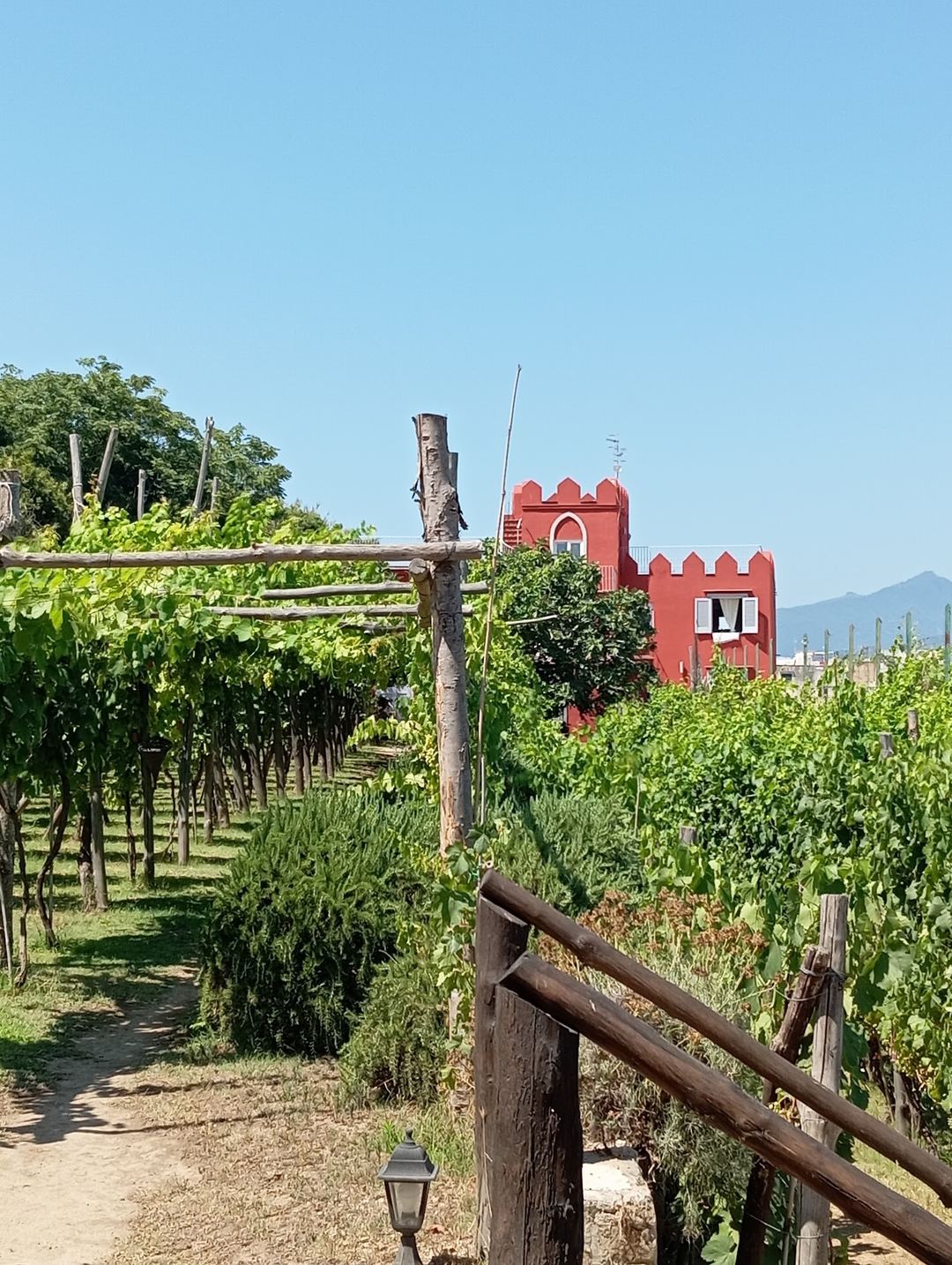 Vineyard rows with rustic wooden fencing lead toward a distinctive red castle-like building with crenellated walls under clear blue skies.